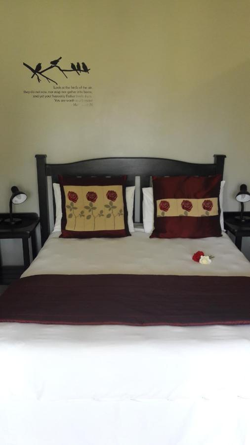 African Sun Guest House George Zewnętrze zdjęcie
