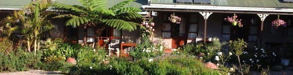 African Sun Guest House George Zewnętrze zdjęcie