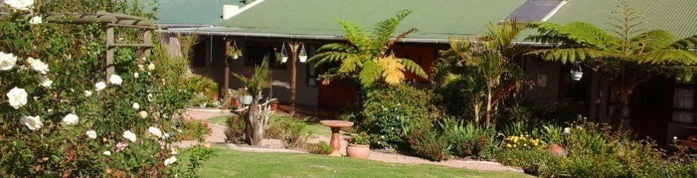 African Sun Guest House George Zewnętrze zdjęcie