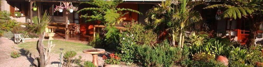 African Sun Guest House George Zewnętrze zdjęcie